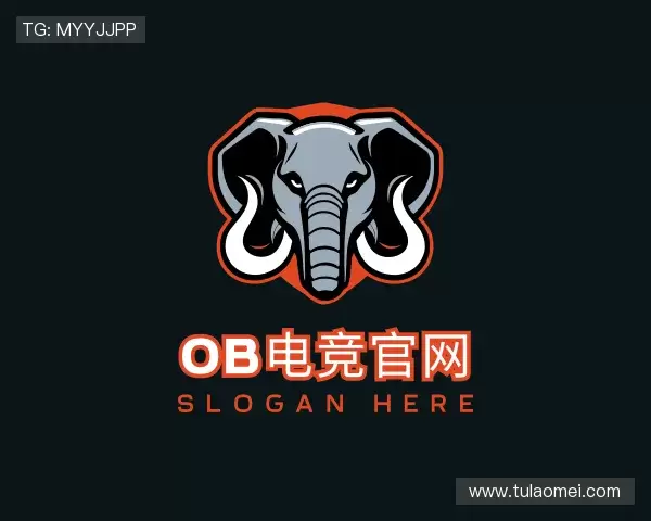 了解ob电竞官网